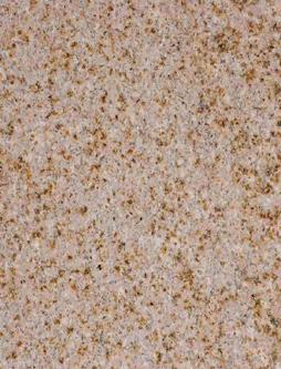 20樱花红荔枝面